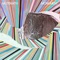 Monument - Single ジャケット写真