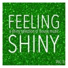 Feeling Shiny, Vol. 3 - Shiny Selection of House Music