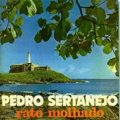 Rato Molhado by Pedro Sertanejo album reviews, ratings, credits