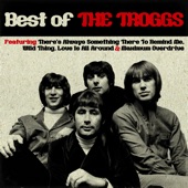 The Troggs - Wild Thing