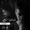 ضاعت أيامي - Single album lyrics, reviews, download