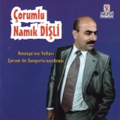 Çorum İle Sungurlu'nun Arası artwork