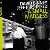A Small Madness album lyrics, reviews, download