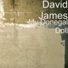 My Donegal Doll - Single