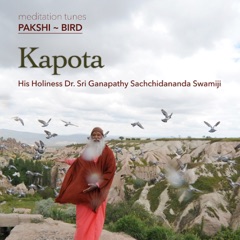 Meditation Tunes - Pakshi / Bird - Kapota