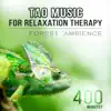 Tao Music for Relaxation Therapy: Best Meditation Songs, Forest Ambience, Sleep Medicine, Healing Spirit of Buddha, Nature Sounds for Zen Journey album lyrics, reviews, download