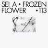 Frozen Flower - EP