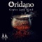 Nuages - Oridano Gypsy Jazz Band lyrics