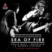 Sea of Fire artwork