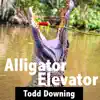 Alligator Elevator song lyrics