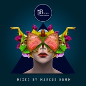 Behind the Dust (Mihai Popoviciu Remix) artwork