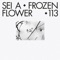 Frozen Flower (Youandewan Remix) - Sei A lyrics