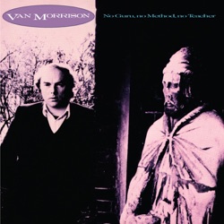 Van Morrison - One Irish Rover