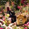 Tourist (feat. Travis Scott & Lil Wayne) - DJ Khaled lyrics