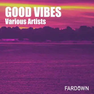 Good Vibes by Various Artists album reviews, ratings, credits