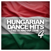Ungarische Tanzen (The Folk Melody) [YDM Remix] artwork
