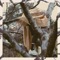 Morphine - Abraham Tilbury lyrics