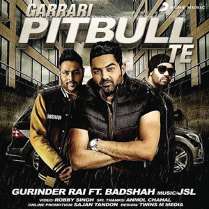 Garrari Pitbull Te (feat. Badshah) - Single