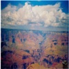 Pastures of Plenty - Single