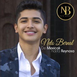 Neto Bernal - Libros Tontos