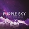 Purple Sky - DJ Alex-T & Paul Arcane lyrics