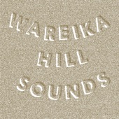 Wareika Hill Sounds - Mass Migration