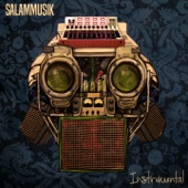 Salammusik (Instrumental) artwork