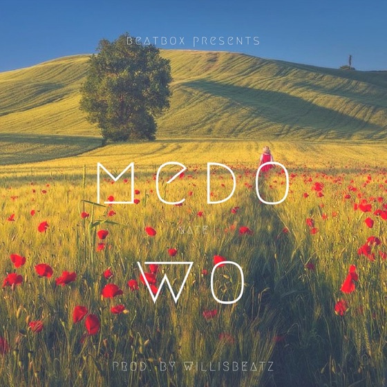 Cover artwork for Medo Wo