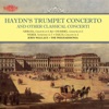John Wallace, Keith Brion & Royal Scottish Academy of Music and Drama Wind Orchestra - Concerto in E-Flat Major for Trumpet & Strings: Largo
