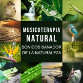 Musicoterapia Natural: Sonidos Sanador de la Naturaleza, Olas del Mar, Lluvia, Canto de los Pájaros, Ranas y Grillos artwork