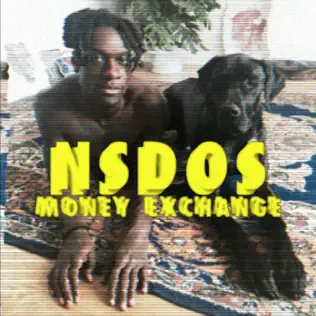 descargar álbum NSDOS - Money Exchange