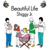 Beautiful Life - Single ジャケット写真