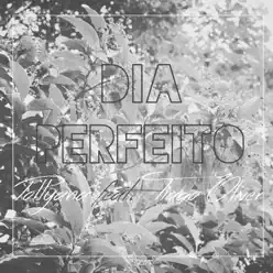 Dia Perfeito (feat. Tiago Oliver) - Single - Pollyana