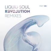 Revolution Remixes, Pt. 2 artwork