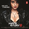 Hate Story 2 (Original Motion Picture Soundtrack), 2014