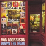 Van Morrison - Fast Train