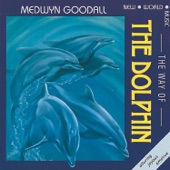 Medwyn Goodall - Dolphin Dreams