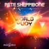World of Joy (Remixes) - EP, 2016