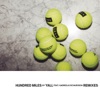 Hundred Miles (feat. Gabriela Richardson) [Remixes] - Single