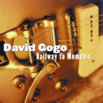 David Gogo - Rollin' and Tumblin'