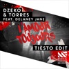 Dzeko & Torres feat. Delaney Jane - L'Amour Toujours (Tiësto Edit)