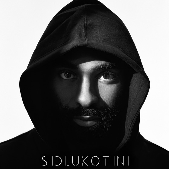 Cover artwork for Sidlukotini