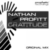 Nathan Profitt - Gratitude