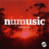 NUMusic, Vol. 2, 2013