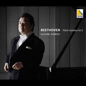 Beethoven: Piano Sonatas Vol. 2 ''Waldstein'' ''The Tempest'' ''Les Adieux'' artwork