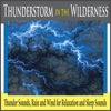 Thunderstorm in the Wilderness: Thunder Sounds, Rain and Wind for Relaxation and Sleep Sounds