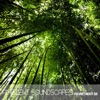 Ambient Soundscapes- Vol 26