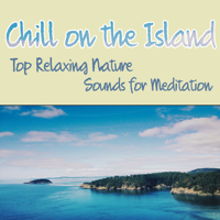 Mindfulness Meditation Music Spa Maestro - Chill on the Island: Top Relaxing Nature Sounds for Meditation, Self-Esteem Balancing, Building Self-Confidence, Dreaming, Reiki Healing, Spa, Massage, Yoga Music artwork