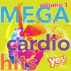 MEGA Cardio Hits vol. 1 (Non-Stop Mix for Fitness and Workout @ 135BPM)