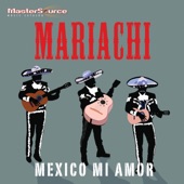 México Mi Amor artwork